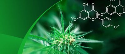 z6mg人生就是博植物提取精制、去除农残专用树脂的应用小秘诀